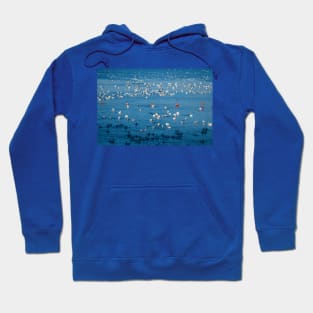 American White Pelican Migration Continues Hoodie